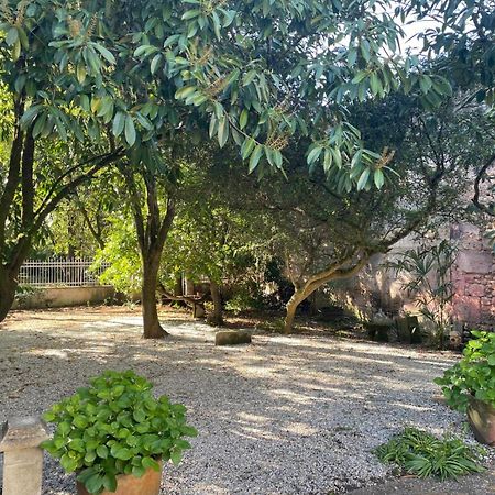 Châteauneuf-sur-Charente Annexe Du Pont De La Charente 아파트 외부 사진