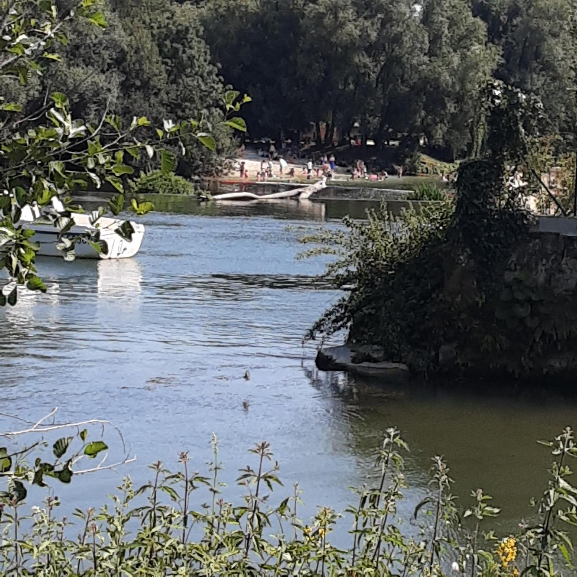 Châteauneuf-sur-Charente Annexe Du Pont De La Charente 아파트 외부 사진
