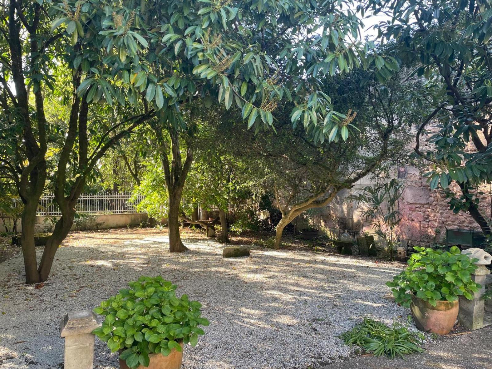 Châteauneuf-sur-Charente Annexe Du Pont De La Charente 아파트 외부 사진