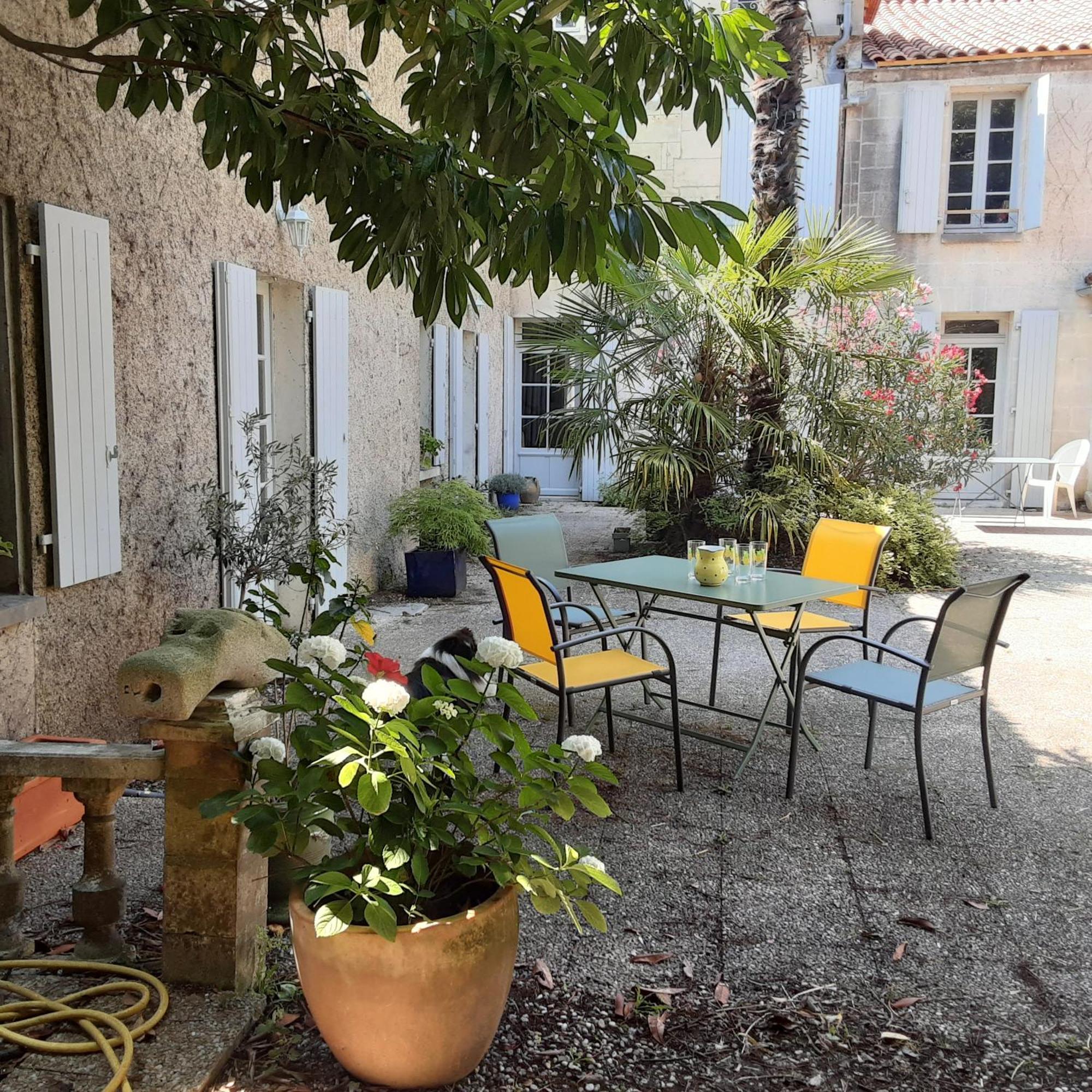 Châteauneuf-sur-Charente Annexe Du Pont De La Charente 아파트 외부 사진