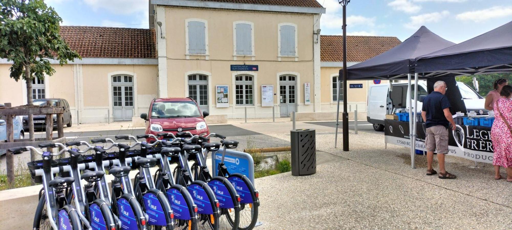 Châteauneuf-sur-Charente Annexe Du Pont De La Charente 아파트 외부 사진